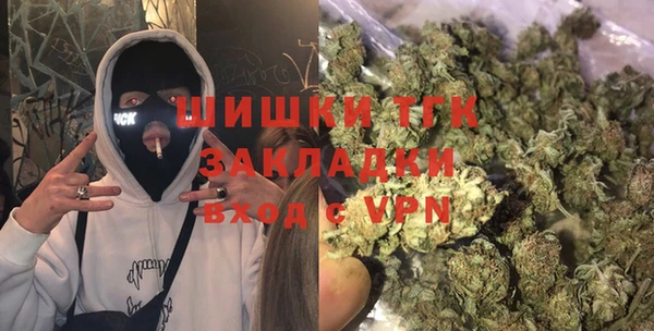 шишки Нязепетровск