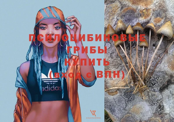 крисы Бежецк