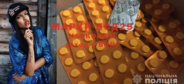 индика Майский