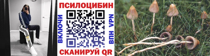 Галлюциногенные грибы Psilocybine cubensis  как найти наркотики  MEGA рабочий сайт  Новотроицк 