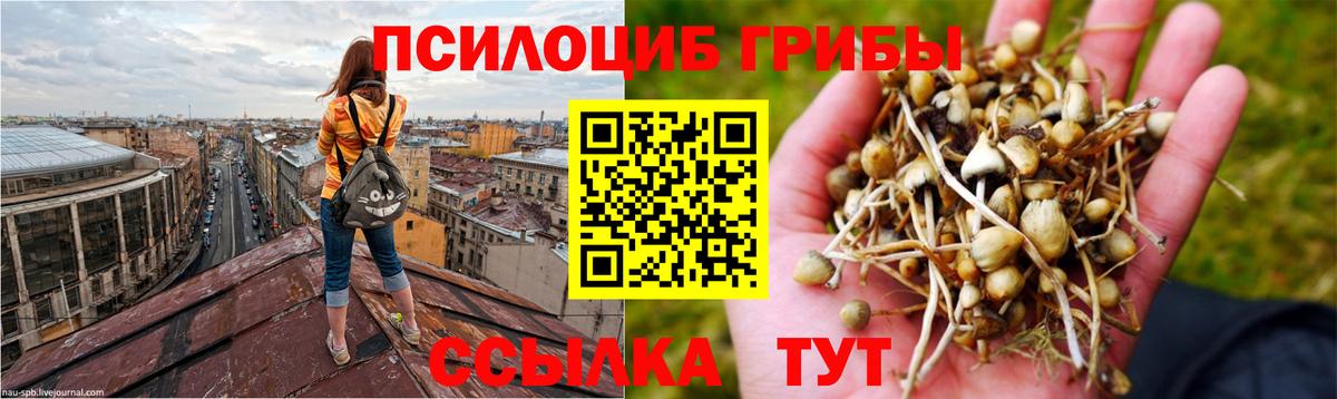 Новотроицк  Галлюциногенные грибы Cubensis  хочу наркоту  Вход с VPN 