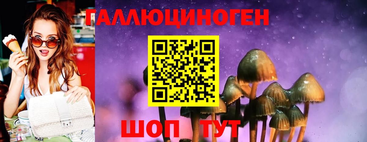 Псилоцибиновые грибы мухоморы  Новотроицк  Галлюциногенные грибы MAGIC MUSHROOMS 