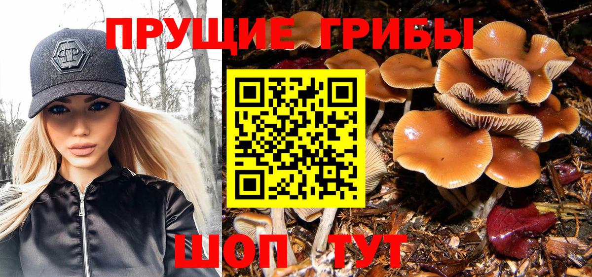 Галлюциногенные грибы ЛСД Новотроицк