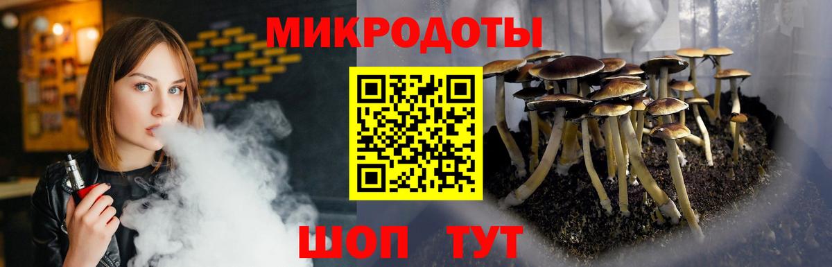 Галлюциногенные грибы Cubensis Новотроицк